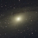 M31