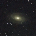 M81